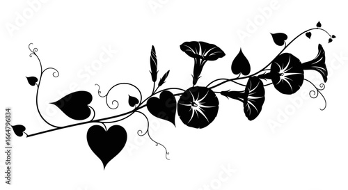 elegant black silhouette of morning glory vine with hearts perfect transparent background for design projects