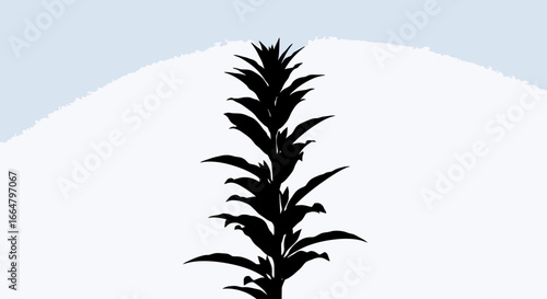 elegant black silhouette of a plant isolated on a transparent background perfect for design projects and digital compositions