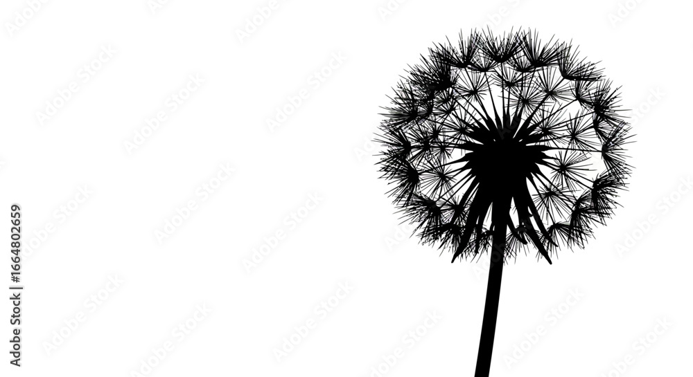 custom made wallpaper toronto digitalSilhouette of dandelion on white background for minimalist design