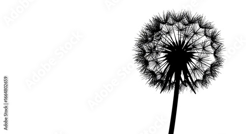 Wallpaper Mural Silhouette of dandelion on white background for minimalist design Torontodigital.ca