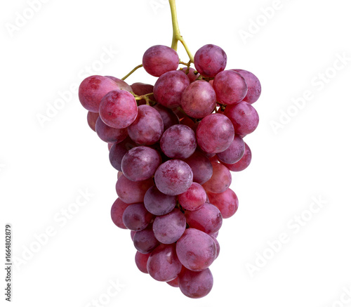 Crimson Grapes on the Vine: A vibrant cluster of crimson grapes hangs gracefully from a vine, showcasing the natural beauty and sweetness of fresh fruit.