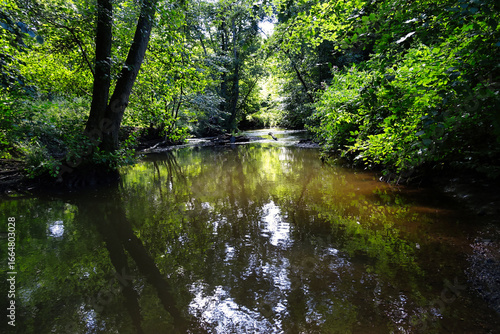 Waldbach im Köllerbachtal bei Völklingen, Regionalverband Saarbrücken, Saarland