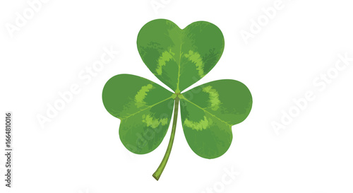 Illustrative rendering of a vibrant three-leaf clover, symbol of luck and Irish heritage, set against a stark white backdrop offering visual