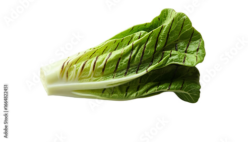 Grilled romaine lettuce with char marks isolated on transparent background