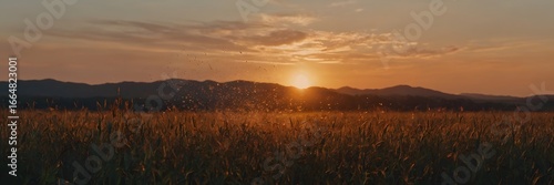 Sunset Over Field with Tall Grass and Mountain Background in Warm Golden Light