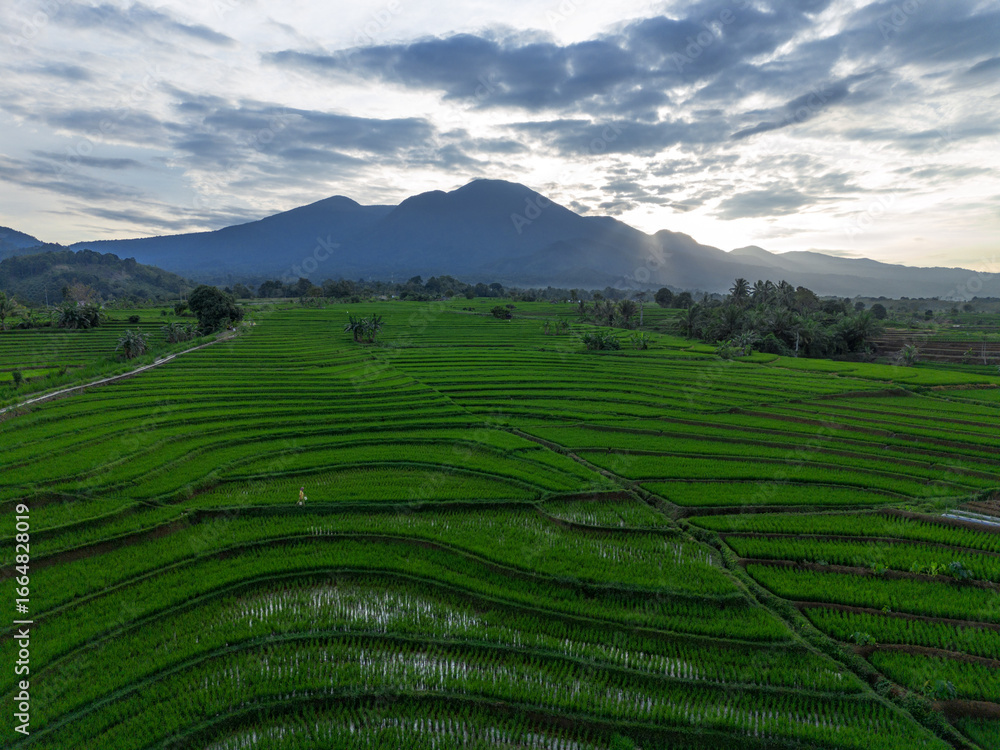 Obraz premium Wonderful sunrise scenery indonesia nature mountain valley forest with bright sky