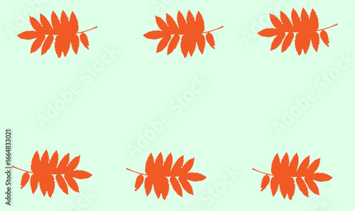 background with rowan leaves, orange,