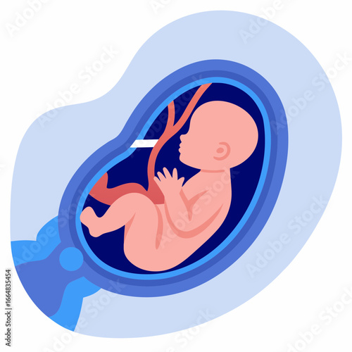Baby fetus in womb depicted in simplistic illustration style  