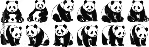 Cute giant panda bear icon set. Black and white graphic collection of an endangered Asian animal in multiple cartoon positions