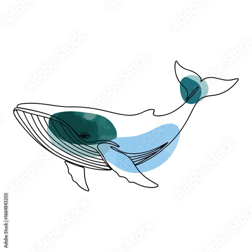 Minimalist line art illustration of a whale with abstract blue and teal watercolor splashes vector