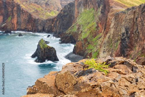 Madeira coastal landscape