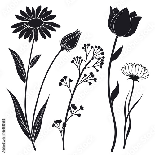 Black floral silhouettes flowers botanical