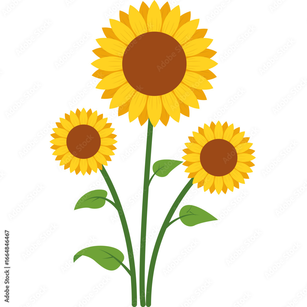 Obraz premium Beautiful Sunflower Vector