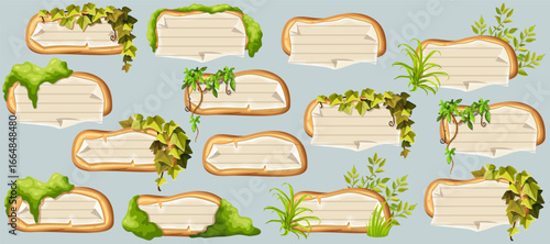Wooden signboards with old paper, stems ivy, liana, grapes, vine, swamp moss, forest lichen. Set isolated wooden elements with blank, with school page in line, ragged graph paper. 