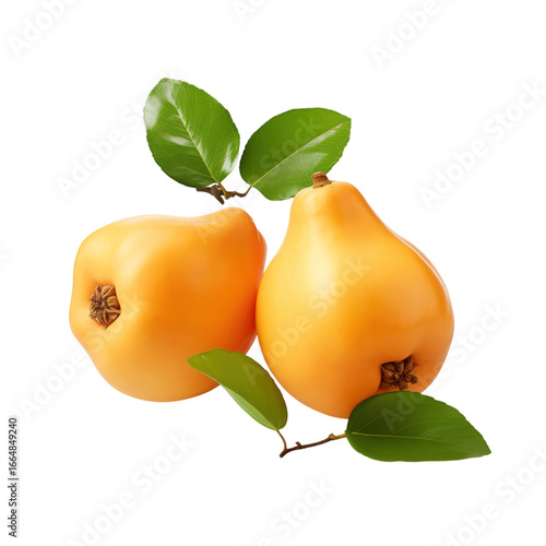 Ripe quince fruit isolated on a  background. Fresh fruits. png