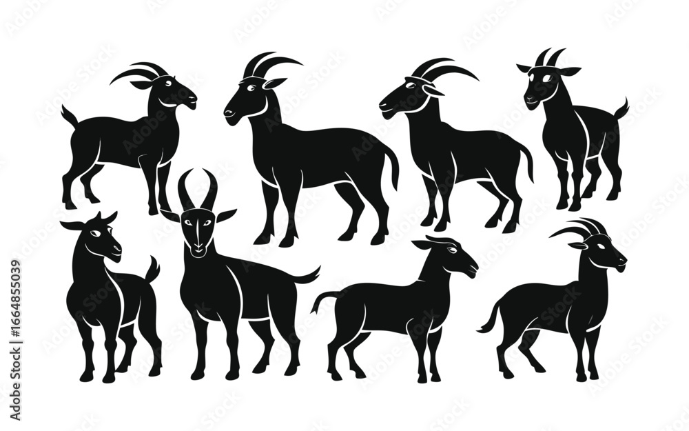 Fototapeta premium Collection of black goat silhouettes standing in various poses isolated on white background