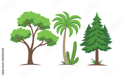 Collection of diverse trees including deciduous palm and evergreen isolated on white background