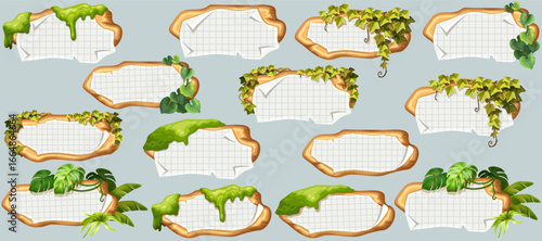 Wooden signboards with old paper, stems ivy, liana, grapes, vine, swamp moss, forest lichen. Set isolated wooden elements with blank, with ragged square graph paper, school math sheet. 