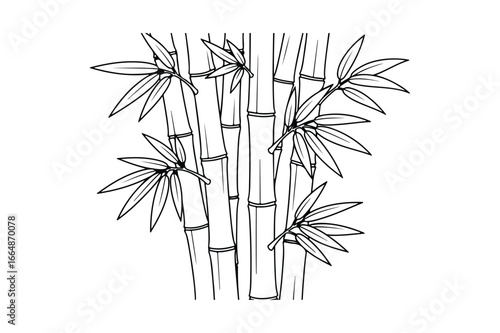 Black and white line drawing of bamboo stalks and leaves plant nature