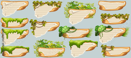 Wooden signboards with old paper, stems ivy, liana, grapes, vine, swamp moss, forest lichen. Set isolated wooden elements with blank, with school page in line, ragged graph paper. 