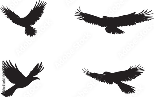 Flying Bird Silhouette Vector Set

Black Bird Silhouettes in Flight Collection

Crow and Raven Flying Silhouette Clipart