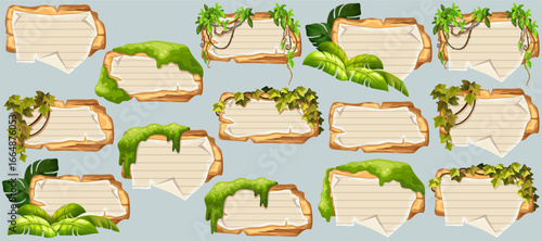 Wooden signboards with old paper, stems ivy, liana, grapes, vine, swamp moss, forest lichen. Set isolated wooden elements with blank, with school page in line, ragged graph paper. 