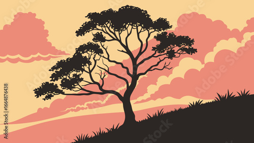 tree in the sunset