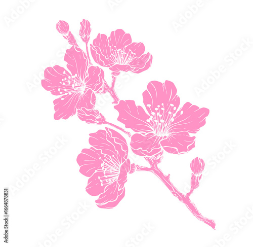 branch of pink orchid
