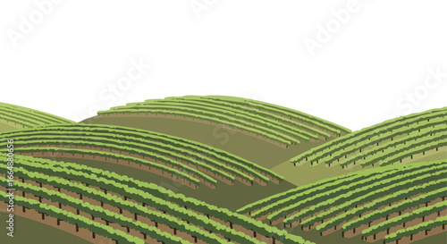Stylized Illustration of Rolling Green Hills with Cultivated Terraces and Lush Foliage Under Clear Sky Scene