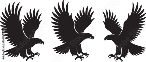 Set of Flying Bird Silhouettes Vector

Black Birds in Flight Silhouette Illustration

Crow and Raven Silhouette Design Collection
