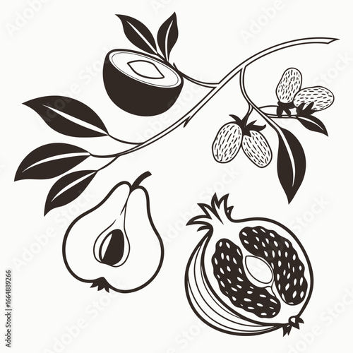 Fruit branch pear pomegranate leaves
