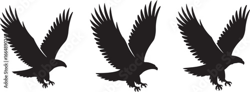 Set of Flying Bird Silhouettes Vector

Black Birds in Flight Silhouette Illustration

Crow and Raven Silhouette Design Collection