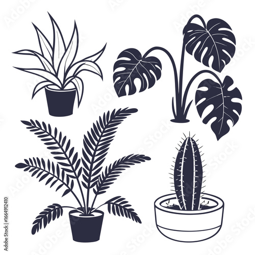 Potted plants silhouettes houseplants monstera