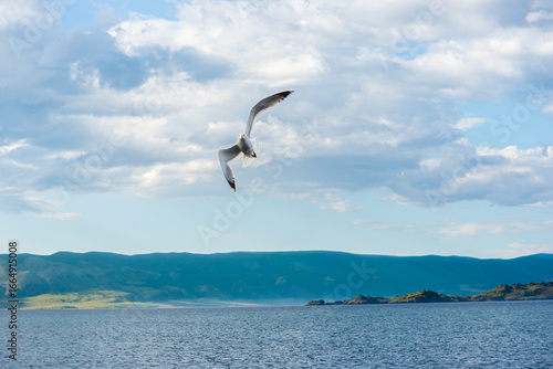Seagull Soaring Through Cloudy Sky