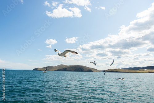 Seagull Soaring Through Cloudy Sky