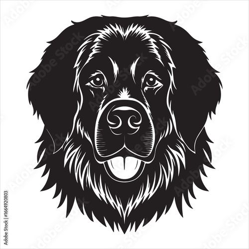 A Majestic Portrait of a Newfoundland, a Gentle Giant and Loyal Companion with a Thick, Black Coat and a Sweet, Calm Demeanor