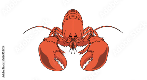 Vibrant red crustacean with large claws displayed frontally on a clean white background