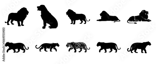 Tiger walking on white background silhouette black