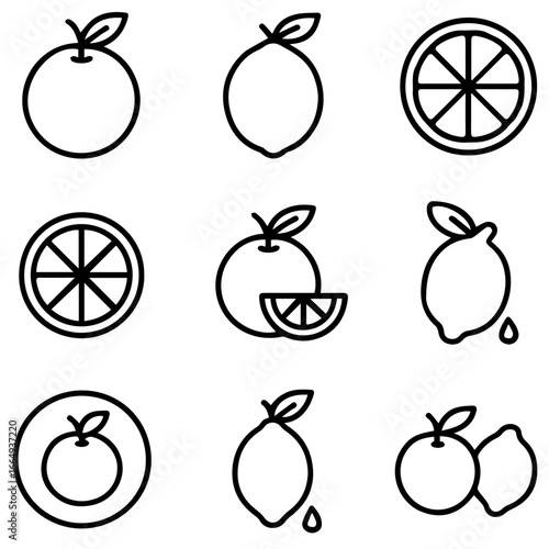 Simple Vector Illustrations of Various Citrus Fruits with Leaves and Slices.