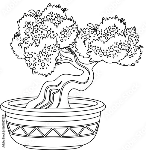 Bonsai tree black-and-white houseplant vector illustration