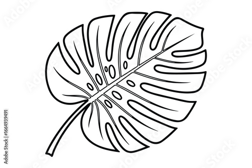Black and white outline drawing of a monstera leaf with fenestrations tropical leaf