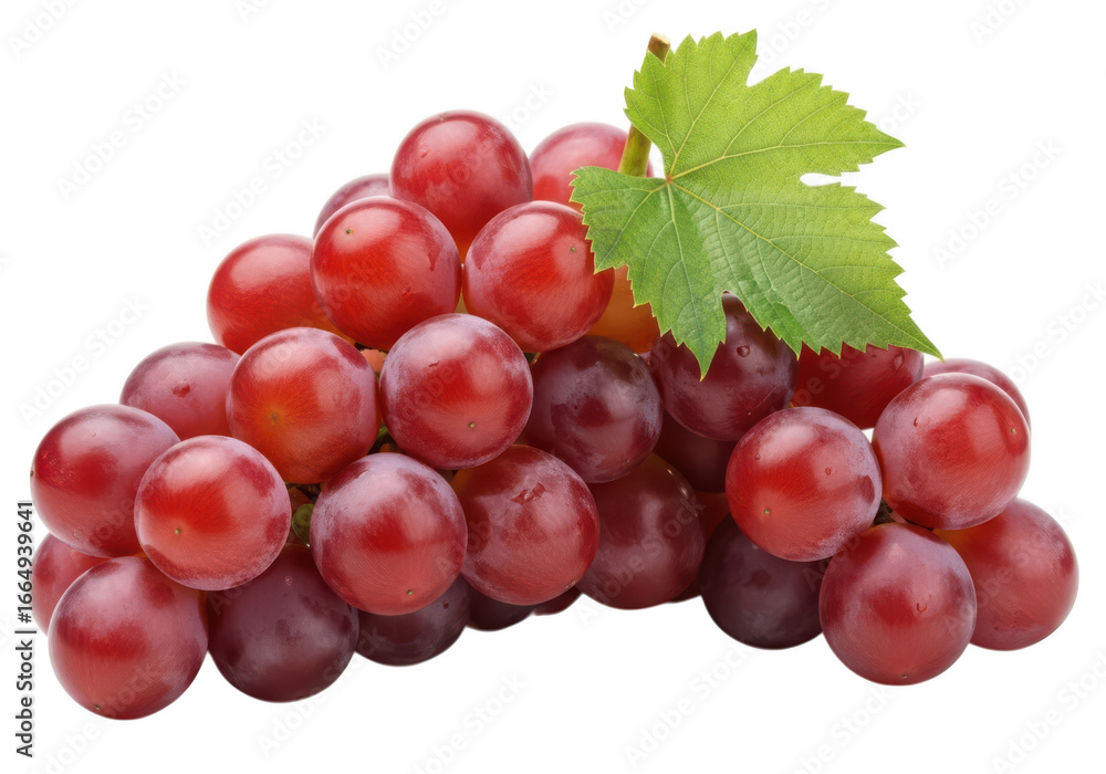 Fototapeta premium Close up studio photograph of a ripe red grape bunch with green leaf fruit food grapes