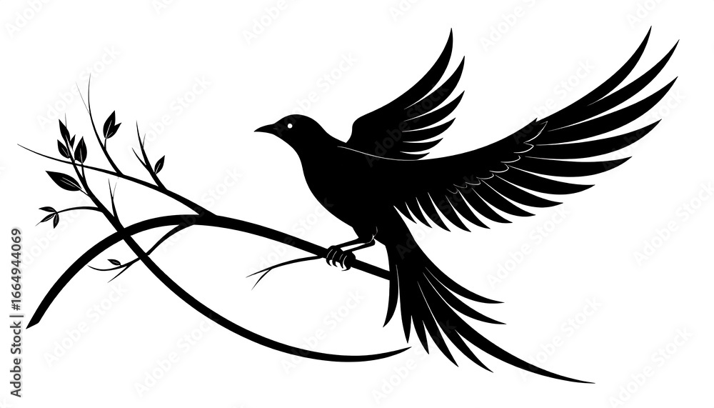 Obraz premium Black bird silhouette perched on branch, wings outstretched