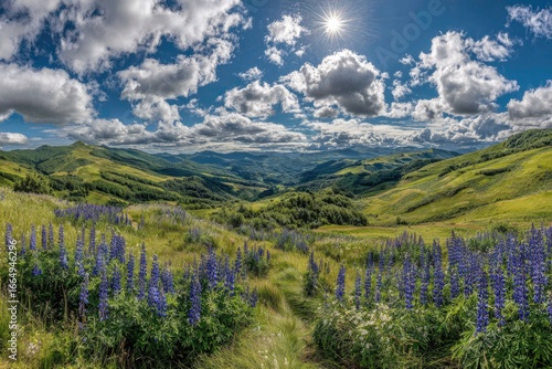 Lush mountain valley with wildflowers under a vibrant sky.