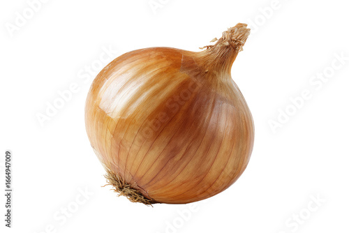 Wallpaper Mural Close-up of a single, whole onion.  A light golden-brown onion,  round and bulbous,  with a noticeable root end.  Rich, textured layers Torontodigital.ca