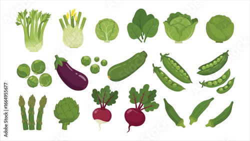 Various Fresh and Vibrant Vegetables Collection in an Array of Colors, Ideal for Healthy Eating