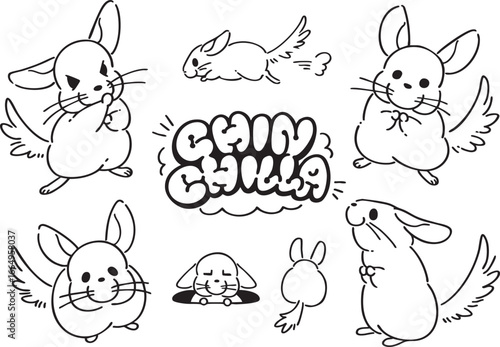 chinchilla_illustrations