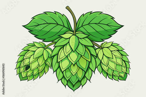 Green hops plant with leaves and cones, a natural ingredient for brewing beer