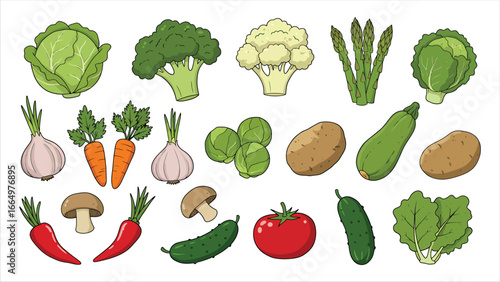 Healthy Vegetarian Food Variety Fresh Vegetables and Ingredients for Cooking