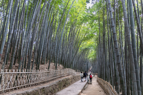 People hiking at Yunqi bamboo trail, a scenic path in Hangzhou China, located in the West Lake scenic area with a dense bamboo forest